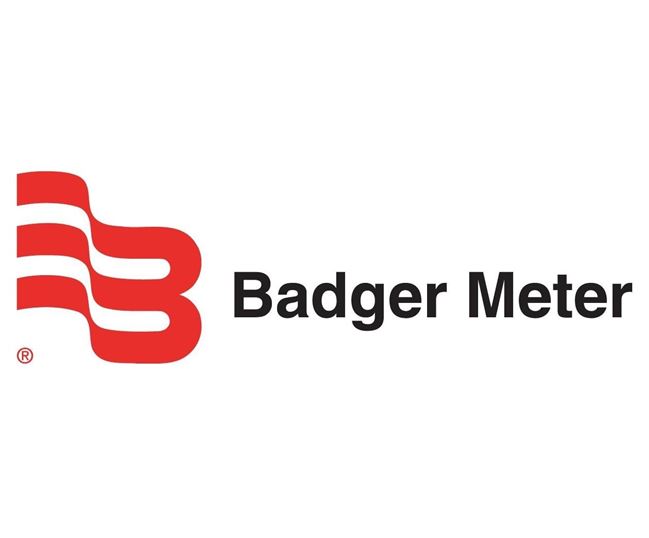 Badger IOG - Industrial Oval Gear Meter 