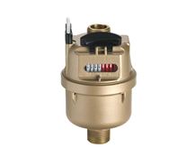 Honeywell V100 Cold Water Meter