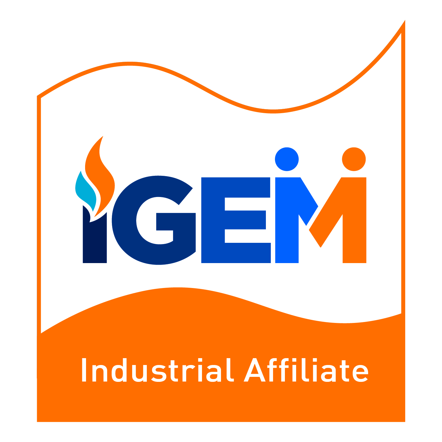 IGEM logo