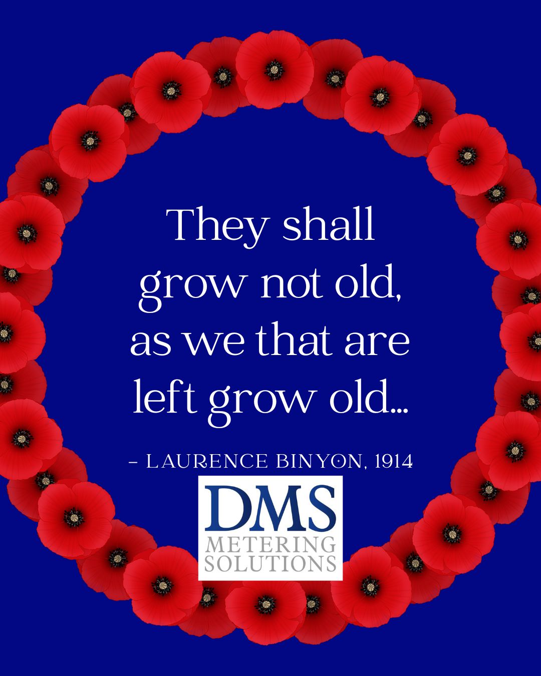 25111110362488527.jpg 25111110362488527.jpg